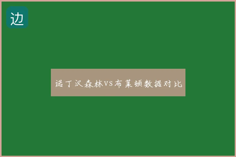 诺丁汉森林vs布莱顿数据对比