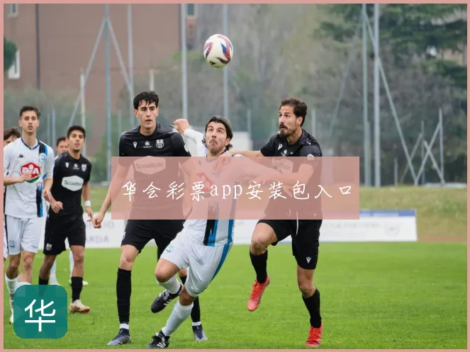 华会彩票app安装包入口